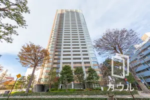 武蔵野タワーズスカイクロスタワー